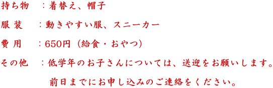 �������@�F���ւ��A�X�q  �� ���@ �F�����₷�����A�X�j�[�J�[  �� �p �@�F650�~�i���H�E����j  ���̑��@�F��w�N�̂��q����ɂ��ẮA���}�����肢���܂��B  �@�@�@�@�@�O���܂łɂ��\�����݂̂��A�������������B