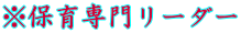 ���ۈ��僊�[�_�[
